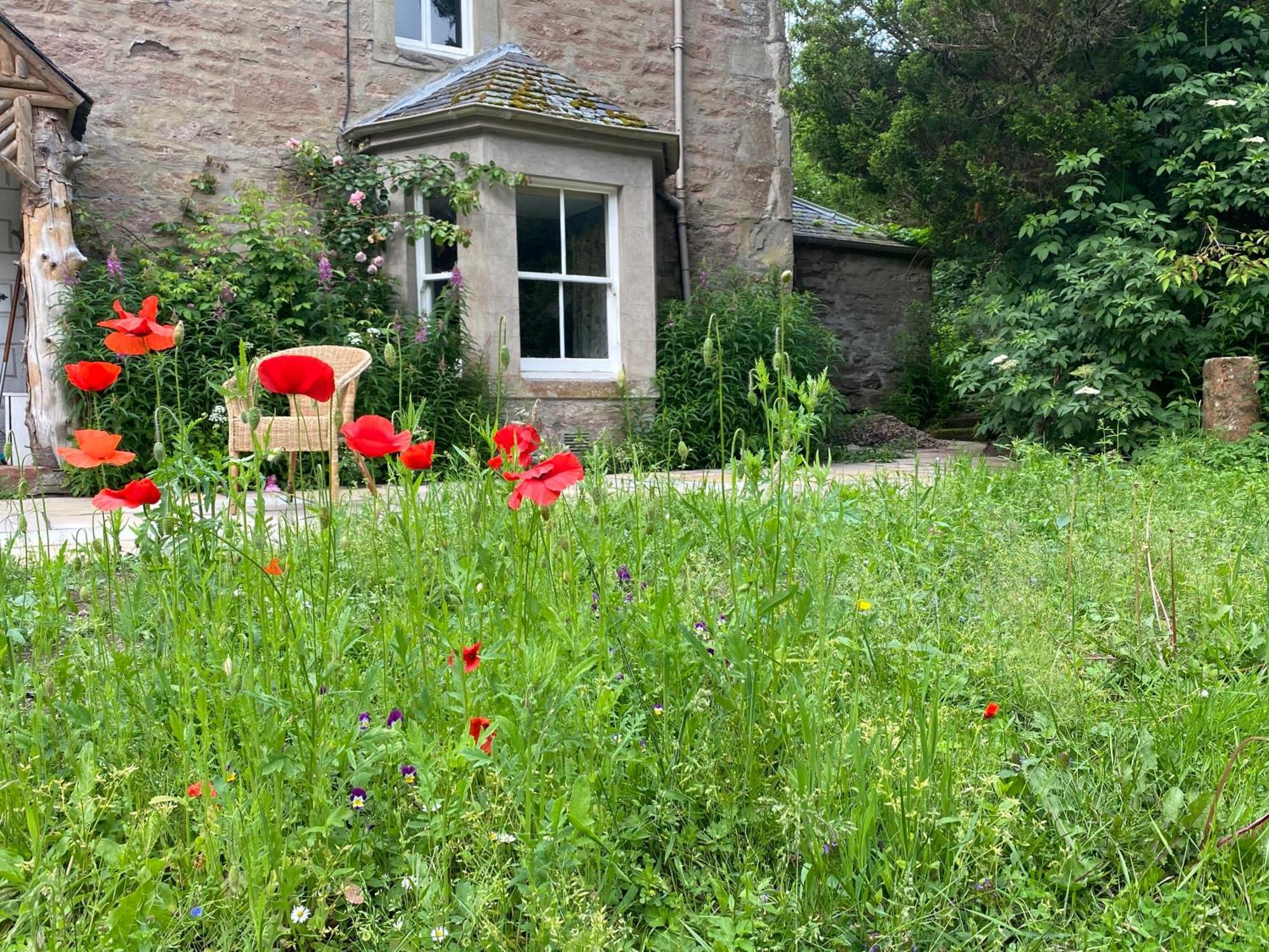 Organic Welltree Bed & Breakfast Saint Martins  Exterior foto